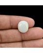 Australian Opal 6.59 Carat 