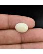 Australian Opal 4.36 Carat 