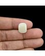 Australian Opal 6.12 Carat 