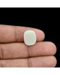 Australian Opal 6.25 Carat 