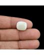 Australian Opal 7.26 Carat 