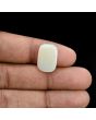 Australian Opal 7.83 Carat 