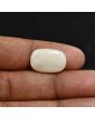 Australian Fire Opal 7.78 Carat 