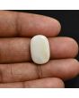 Australian Fire Opal 7.78 Carat 