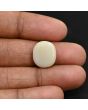 Australian Fire Opal 9.55 Carat 