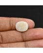 Australian Fire Opal 6.2 Carat 