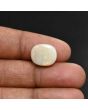 Australian Fire Opal 6.2 Carat 