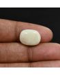 Australian Fire Opal 8.08 Carat 