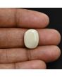 Australian Fire Opal 8.08 Carat 
