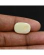 Australian Fire Opal 7 Carat 