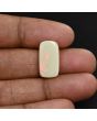 Australian Fire Opal 6.83 Carat 