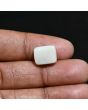 Australian Fire Opal 5.98 Carat 