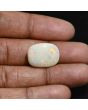 Australian Fire Opal 12.6 Carat 