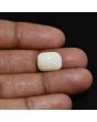 Australian Fire Opal 4.72 Carat 