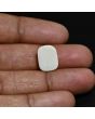 Australian Fire Opal 4.72 Carat 