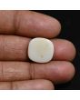 Australian Fire Opal 8.17 Carat 