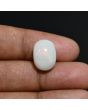 Australian Fire Opal 7.92 Carat