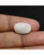 Australian Fire Opal 6.82 Carat 