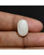 Australian Fire Opal 6.82 Carat 