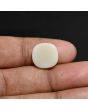 Australian Fire Opal 5.8 Carat 