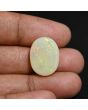 Australian Fire Opal 13.51 Carat