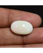 Australian Fire Opal 8.21 Carat