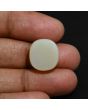 Australian Opal 14.67 Carat