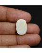 Australian Opal 8.42 Carat