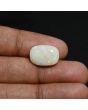 Australian Opal 7.79 Carat