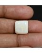 Australian Opal 8.76 Carat