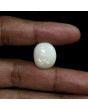 Australian Fire Opal 17.36 Carat 