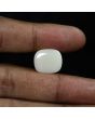 Australian Fire Opal 12.78 Carat 
