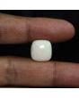 Australian Fire Opal 11.24 Carat 
