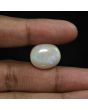 Australian Fire Opal 19.81 Carat 