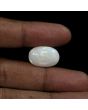 Australian Fire Opal 14.06 Carat 