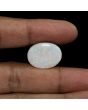 Australian Fire Opal 16.37 Carat 