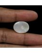 Australian Fire Opal 16.37 Carat 