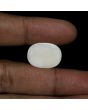 Australian Fire Opal 14.32 Carat 