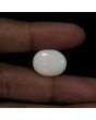Australian Fire Opal 11.04 Carat 