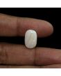 Australian Fire Opal 10.35 Carat 