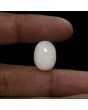 Australian Fire Opal 10.14 Carat 