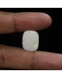 Australian Fire Opal 12.46 Carat 