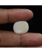 Australian Fire Opal 10.68 Carat 