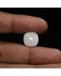 Australian Fire Opal 5.38 Carat 