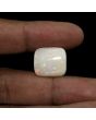Australian Fire Opal 13.66 Carat 
