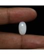 Australian Fire Opal 3.01 Carat 