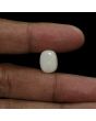 Australian Fire Opal 5.32 Carat 