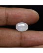 Australian Fire Opal 2.86 Carat 