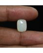 Australian Fire Opal 3.95 Carat 