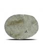 Natural Pyrite Cts 13.72 Ratti 15.08